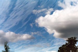 17051311826_2161db9360_o