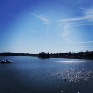 17159886617_51679716cf_o