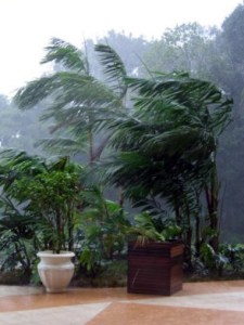 17198512895_7f0efe40bd_o