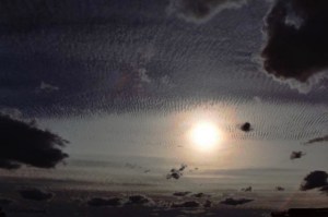 17556122199_3e16a68a6c_o