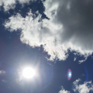 17970722740_171731030c_o