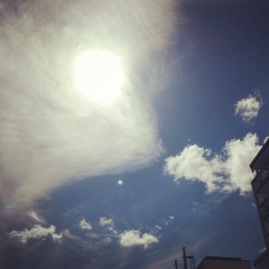 17972138749_dd3ee8c527_o