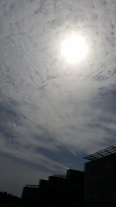 18120516985_3e3ed4f7ba_o