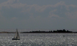 17334068885_4154c95616_o