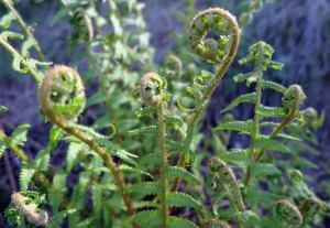 17626763638_26c05c892d_o