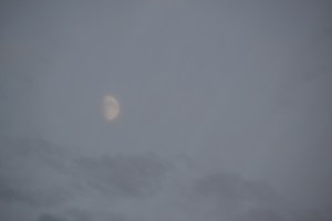 moon1