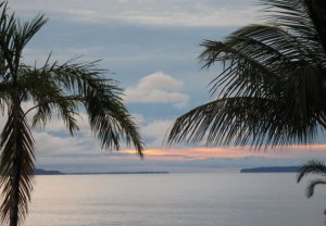 16567512364_0d52477356_o