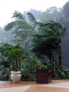 17198512895_7f0efe40bd_o