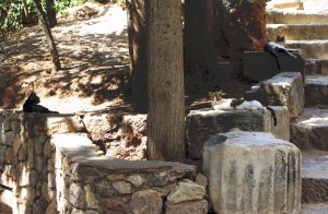 guardians-of-the-galaxy