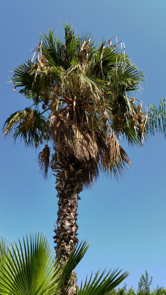 scenery-3