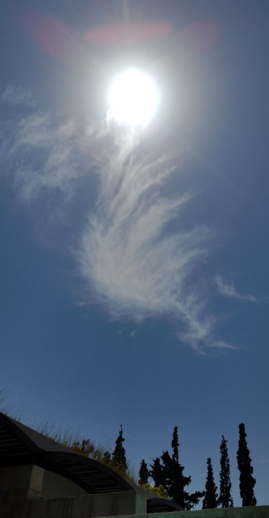 skies-2
