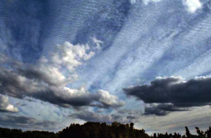 17012658929_f138813048_o