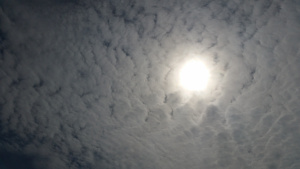 17934367399_d5a9fd5bc2_o