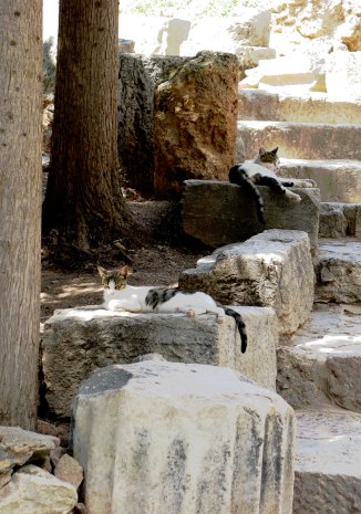 19932359491_c78aab208a_o