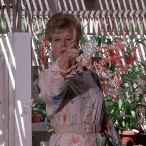 InstaReel Photo copy