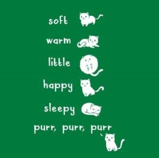 12115968_10153633300700030_4071421228886499962_n