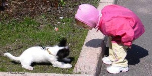 17122035613_a40c6b2578_o