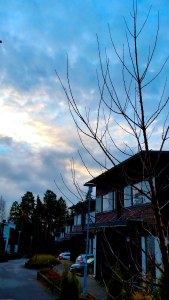 blue-moment,-early-morning-2