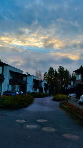 blue-moment,-early-morning-5