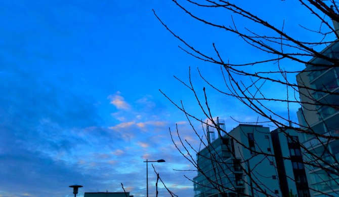 blue-moment,-early-morning-6