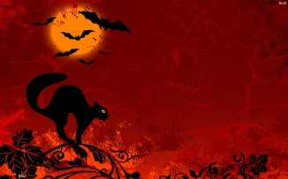 Halloween_cats_028