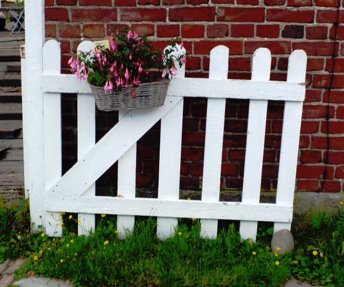 18574029771_1d4565c5a2_o