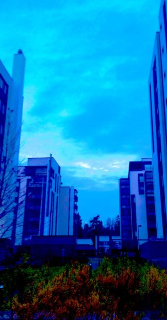 blue-moment,-early-morning-8