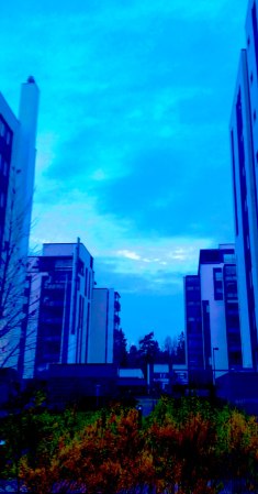 blue-moment-early-morning-8