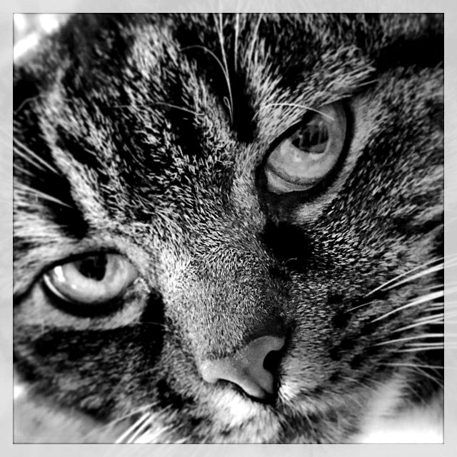 up-close-and-personal