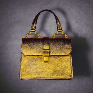 handbag-of-gold