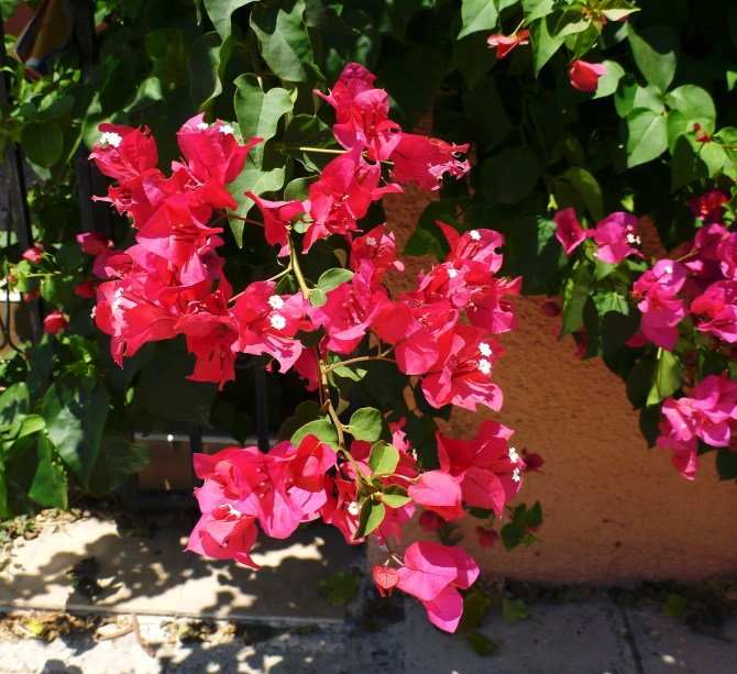 17126623077_65cbd55e6e_o