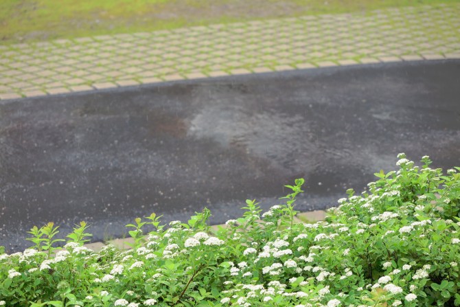 18810296009_bedc0a01c2_o