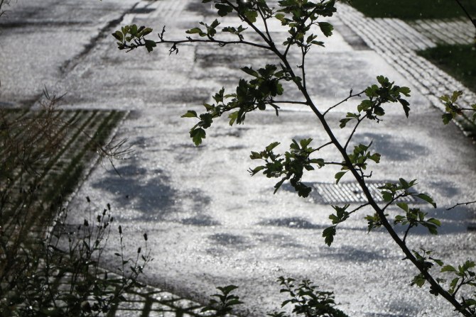 21734830706_d8d6895df3_o