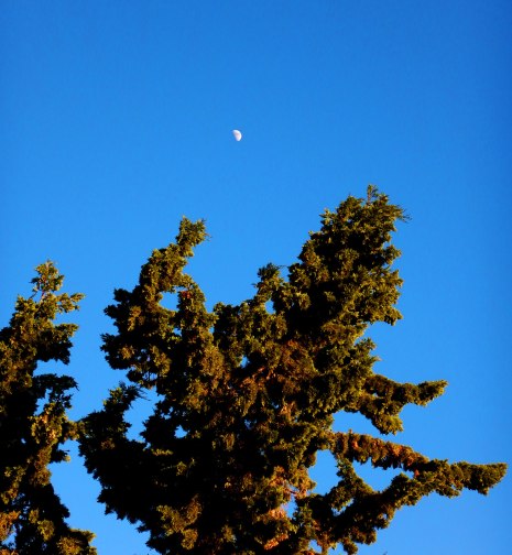 december-moon-1
