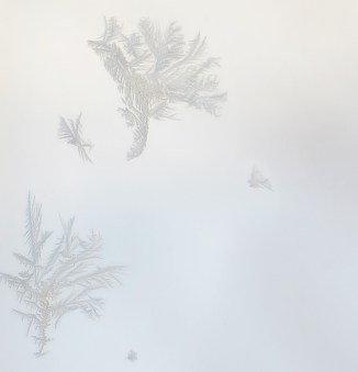 frost-1