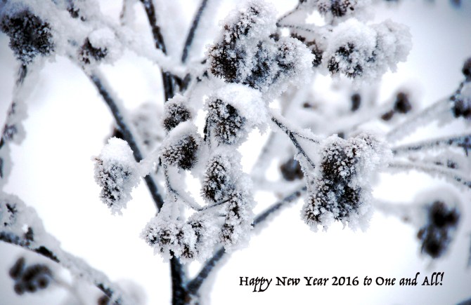 happy-new-year-2