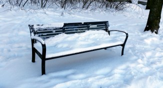 Seat by the Seashore-4