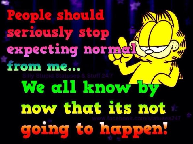 Garfield quote 2