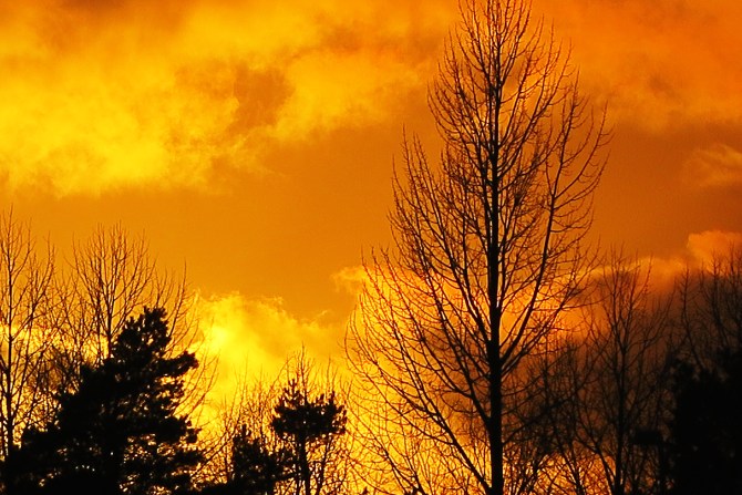 orange-2