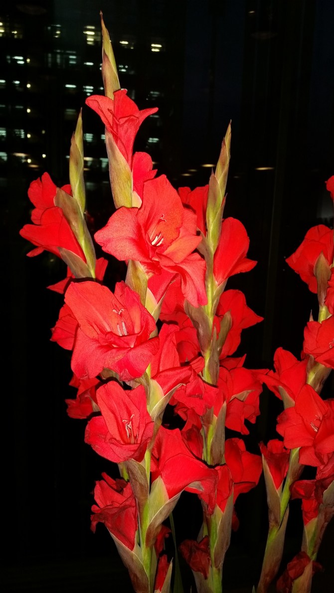 red-2