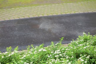 18810296009_bedc0a01c2_o