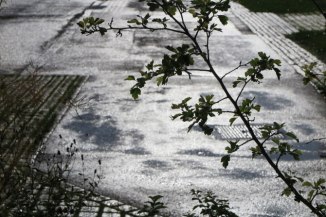 21734830706_d8d6895df3_o