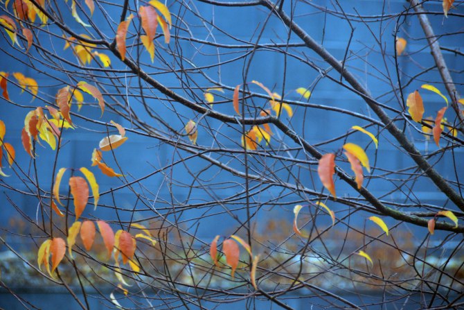 22299407249_02917f9672_o