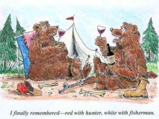 camping-bears-pairing-humans-with-the-proper-wine