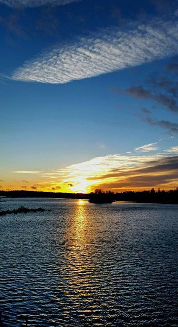 let-there-be-light-4