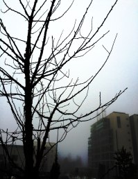 mundane-monday-1407-5