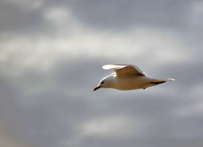 solitude-2 (DAY FIVE)