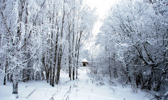 winter-world (DAY 8)