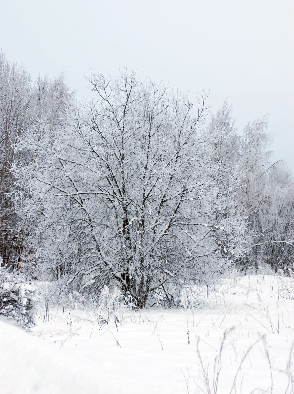 winter-tale-3