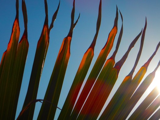 basking-in-the-sun-2